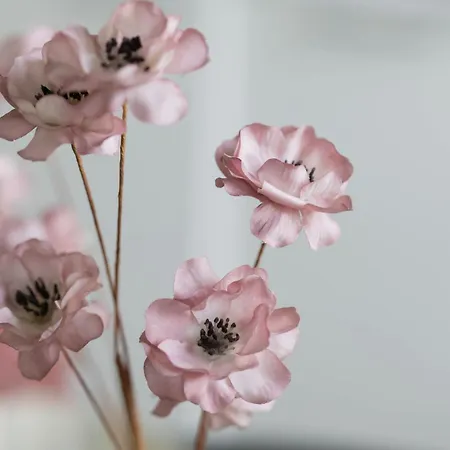 Grzybowska Sophisticated With Balcony & Parking In The Center Of By Renters Prestige Varşova